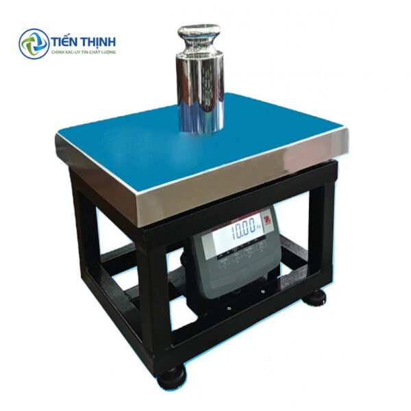 Khung Cân ghế điện tửT31P