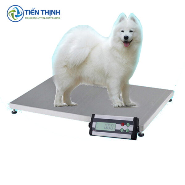 Thông tin sản phẩm và cấu tạo Cân thú y 300kg