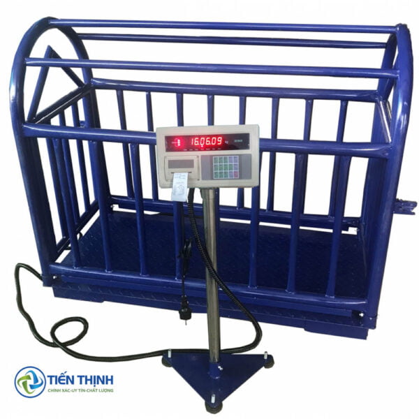 Cân heo điện tử 1 con A9 in phiếu In Bill 500kg