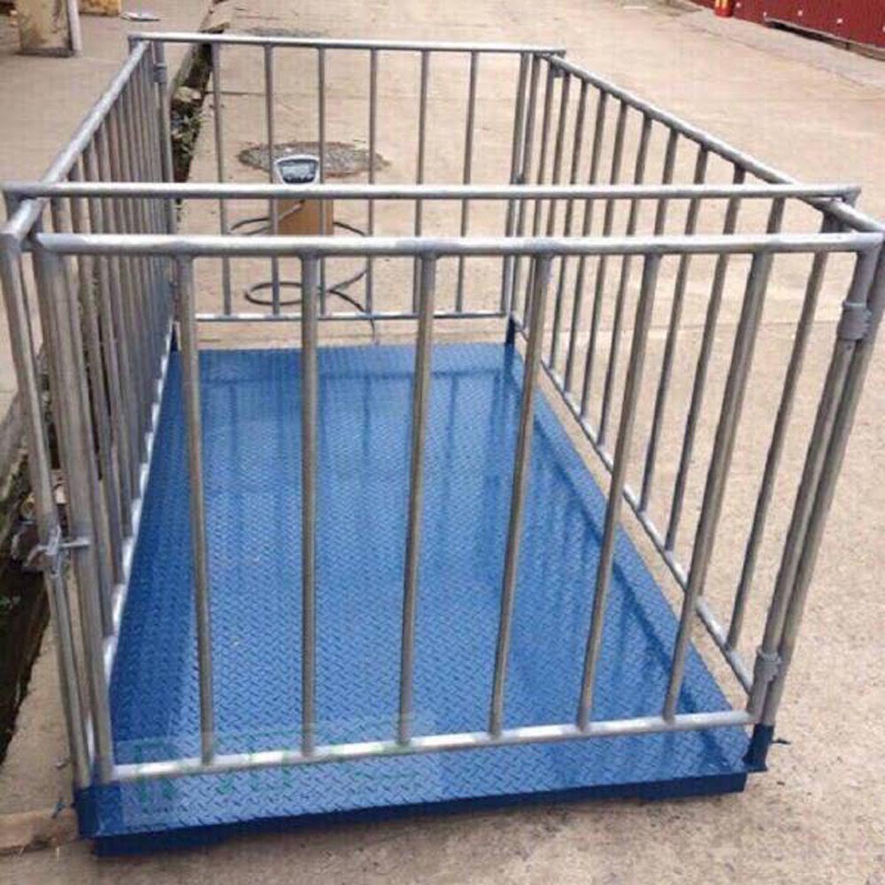 Ô chuồng trại hình vuông bằng kim loại màu xám và sàn màu xanh lam.