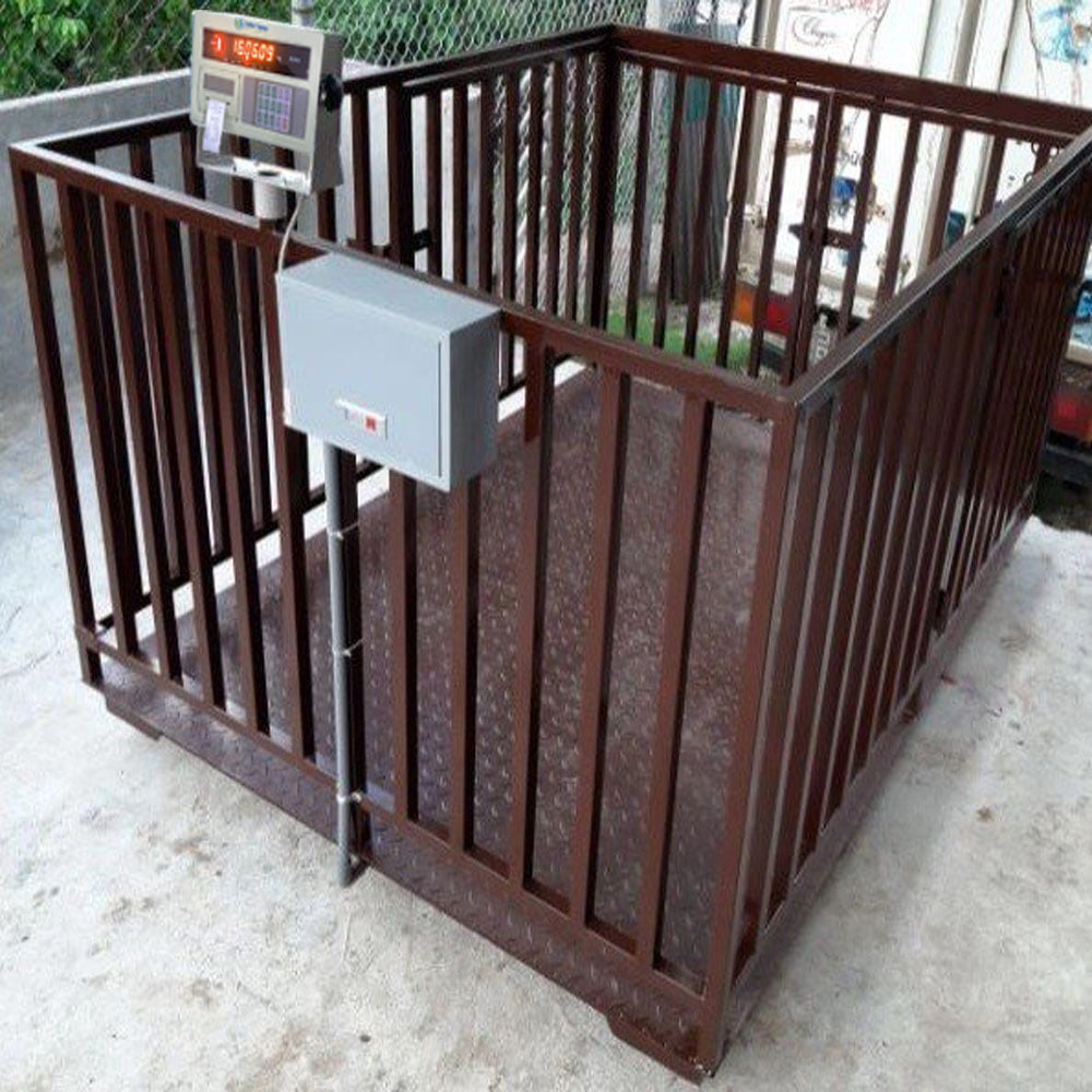 Cân điện tử gia súc hình vuông, khung sắt màu nâu gỉ sét.