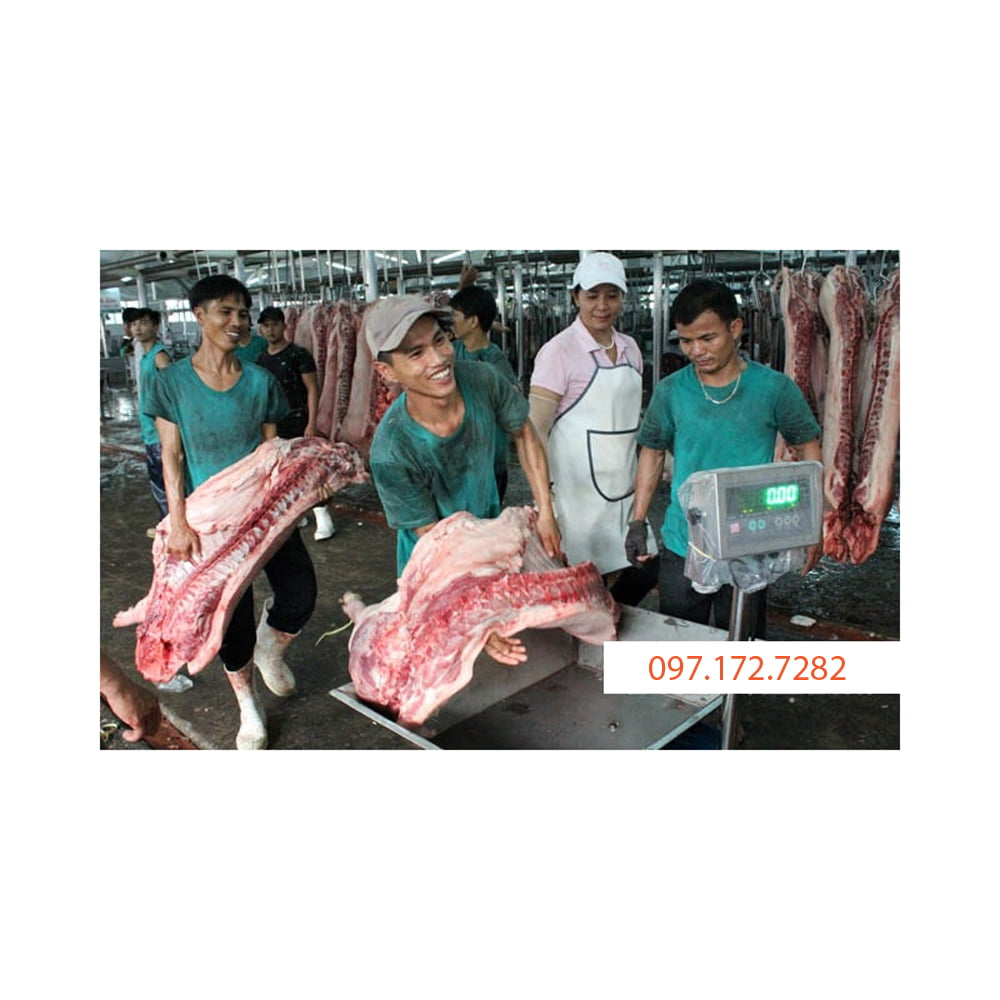 Kho thịt với công nhân đang xử lý thịt lợn.