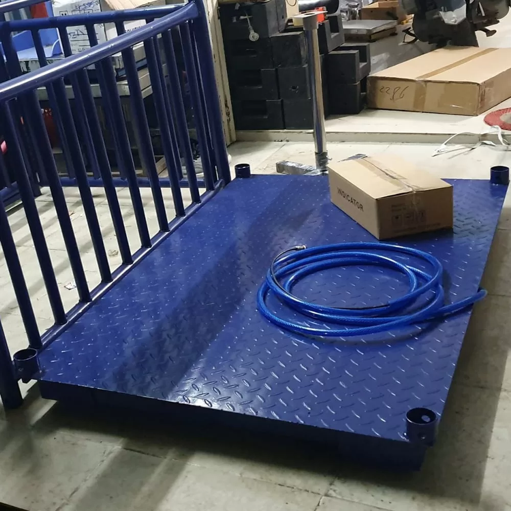 Cân điện tử nền xanh với ống dẫn và hộp carton.