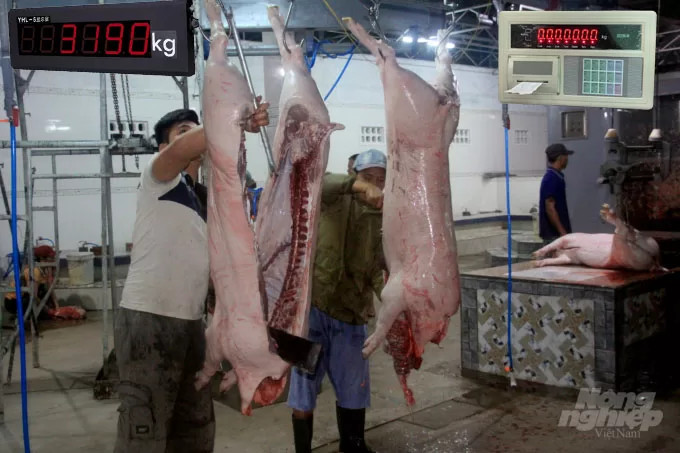 Thịt heo đã được giết mổ, treo tại khu chợ, sẵn sàng cho việc mua bán.