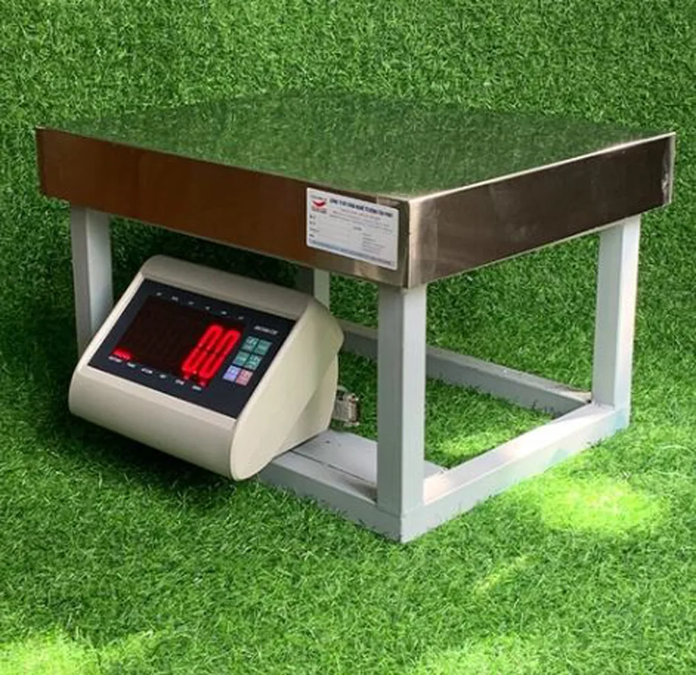 Cân điện tử công nghiệp đặt trên nền cỏ nhân tạo xanh mướt.